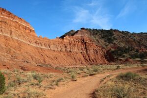 palo-duro-7912419_640.jpg